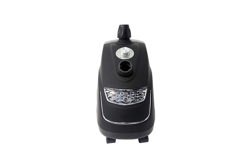 2000W Black Durable Secure Convenient Vertical Clothing Steamer